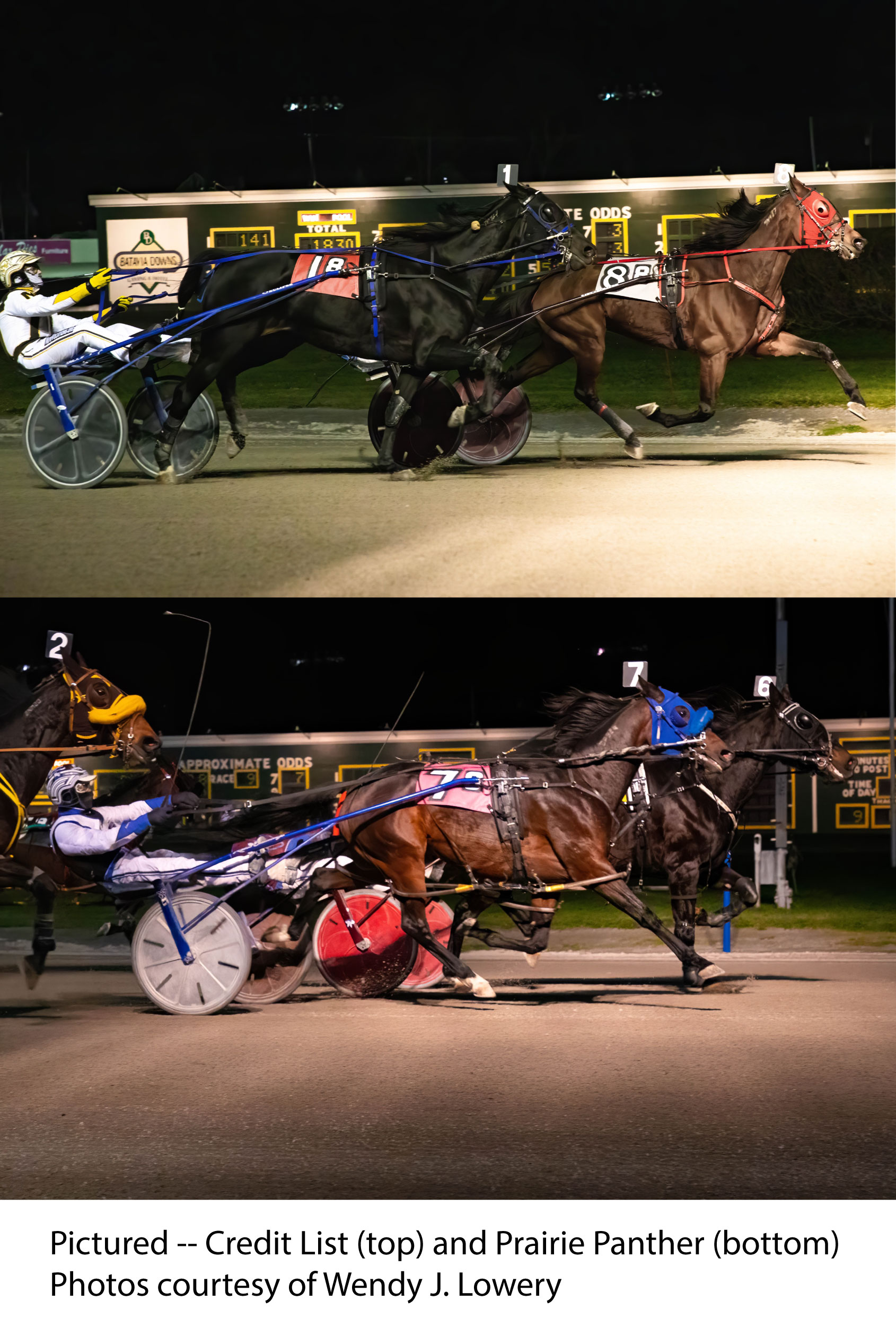 Morrill sweeps features; Monti wins five at Batavia Batavia Downs